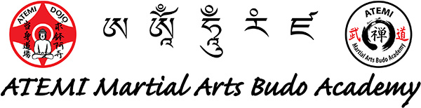 Atemi Budo Academy Logo