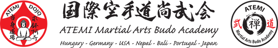 Atemi Budo Academy Logo